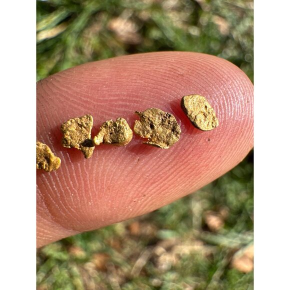 California Gold Nuggets in Display Case - 0.17 grams - Picture 4 of 6